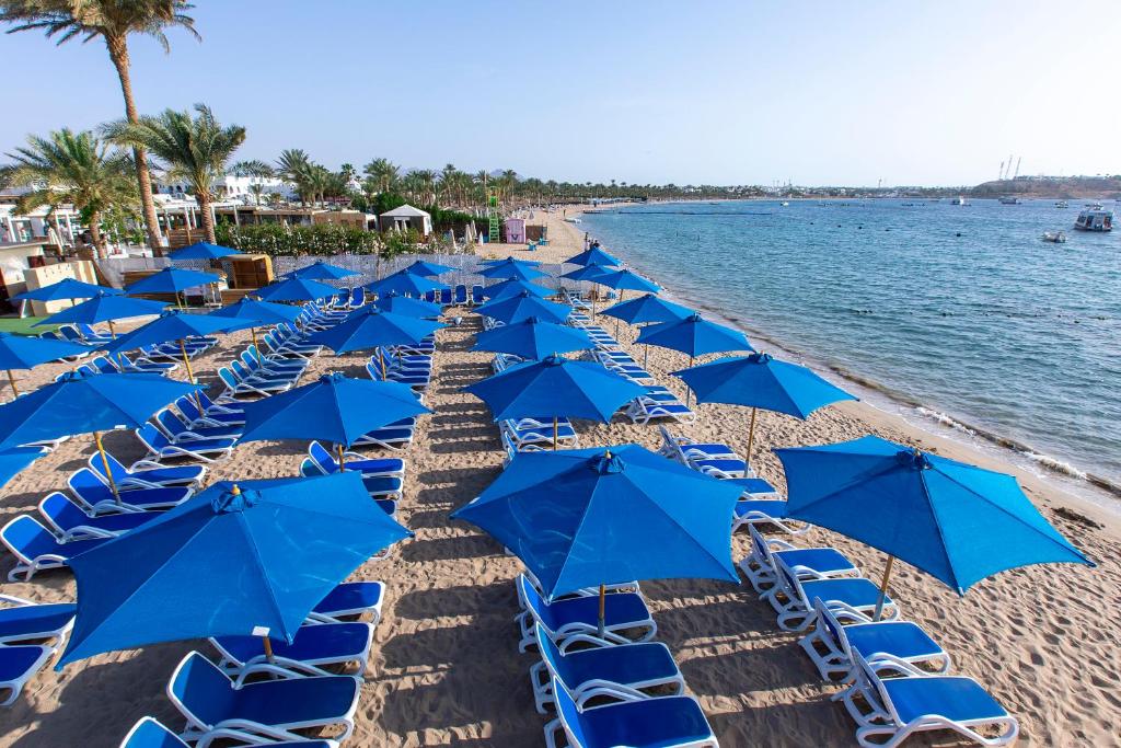 naama-bay-hotel Vacanze, Hotel e Offerte a Naama Bay, Sharm El Sheikh