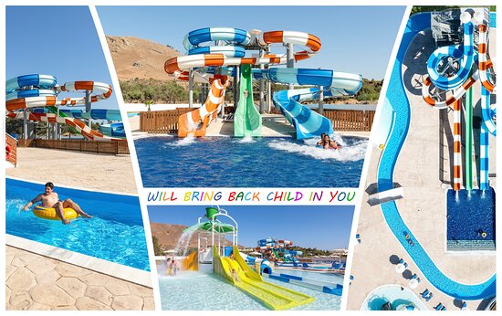 olive-garden-2 - Foto 10