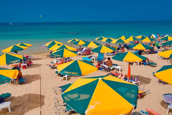 cactus-beach - Foto 12