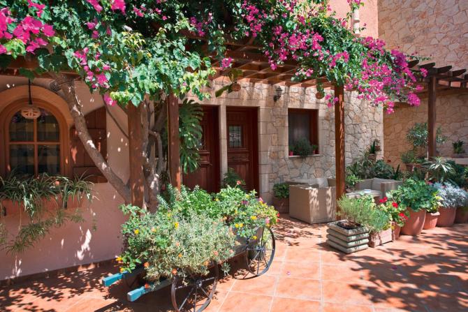 cactus-beach - Foto 10