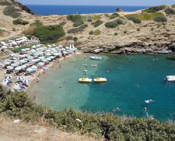 xidas-garden - Foto 12